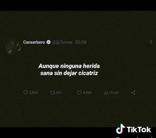 pensando en ti :(#canserbero #parati #viral #music