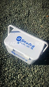 Stay cool on your next fishing adventure with the Seadra Cool Box! Perfect for keeping your catch fresh all day. 🐟 #seadracoolbox #fishinggear #outdooradventure #catchandkeep #fishingessentials | Taskers Angling