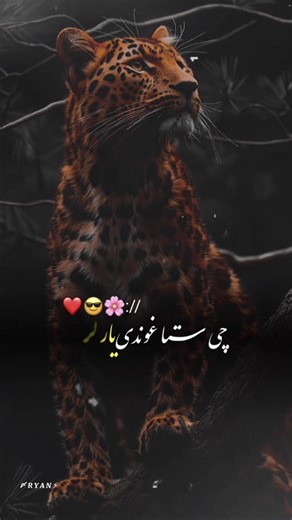 CapCut Editing Tips for TikTok Creators