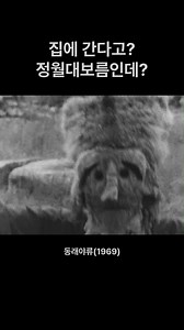 정월대보름 저녁이면 사람들을 웃게 했던 놀이 #동래야류 '야류(野遊)'는 말 그대로 밖에 나와 함께 노는 놀이였어요. 한 해 농사를 점치고 풍년을 빌던 정월대보름 밤, 탈을 쓰고 어울려 놀았습니다. 경상남도 내륙 지역의 오광대 놀이가 바닷길을 따라 수영·동래·부산진으로 전래된 것으로, 들판 같은 곳에서 놀아 들 '야(野)', 놀 '유(遊)'라 불렸는데 부르기 쉽게 야류가 되었다는 설, 말뚝이가 양반을 놀린다는 뜻의 '야유'에서 비롯됐다는 설까지 동래야류에는 여러 이야기가 전해져요. 셋째 양반가면인 '모(毛)양반'은 얼굴이 컬처럼 덮인 독특한 모습의 인물입니다. 설정상 원양반에게서 땅을 상속받지만, 그 땅은 구름과 안개로 만든 실재하지 않는 땅…! 그럼에도 마냥 좋아하는 모습에서 몰락한 양반의 허세와 풍자가 드러납니다. 📼 1969년, 부산 동래고등학교 광장 #기록하는무형유산 | 국가유산청