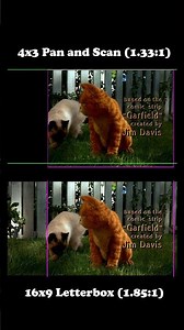 Garfield: Widescreen vs Fullscreen