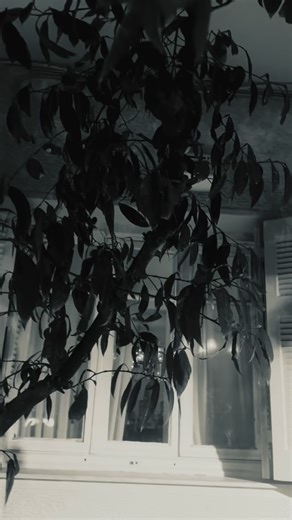 Maria Kavogianni on Instagram: "Τα δώρα που μου χάρισε η ζωή είστε εσείς…όλοι εσείς οι φίλοι μου, οι στιγμές μας, η αγάπη μας, τα τραγούδια μας, που γεμίζουν τόσα χρόνια το σπιτάκι, εδώ, σ’έναν πεζόδρομο στο Βύρωνα… Αυτή είναι η ζωή μας, η ευτυχία μας, η περιουσία μας. Σας ευχαριστώ… Σας αγαπώ…🤍"