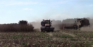 Two Case IH 9230 Axial Flow Combines opening a corn field with a 16 row and a 12 row corn head.