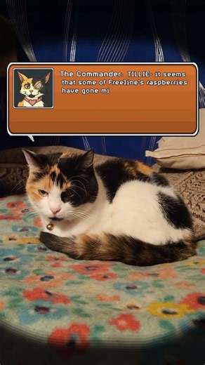 Calico Interrogates Springer
