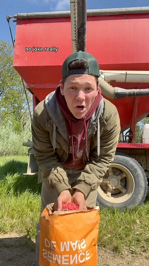 10K views · 203 reactions | one bag of seed corn costs how much?! #corn #farmlife #farming #tractor #johndeere | Hayden Fox | Facebook