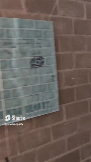 Finally, the content you've all been waiting for. Presenting: ✨ 𝕿𝖍𝖊 𝕿𝖔𝖎𝖑𝖊𝖙 𝕿𝖚𝖓𝖓𝖊𝖑 ✨ https://www.youtube.com/shorts/5sGRvtXB0d0 #RevisionParty2023 #back2ewerk | Revision