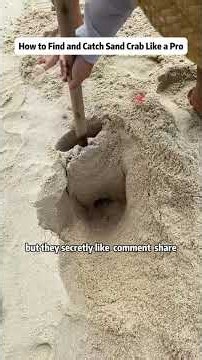 How to Find and Catch Sand Crab Like a Pro