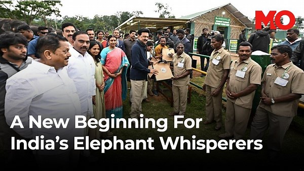 A tribute to the Elephant whisperers: Tamil Nadu's mahout village unveiled