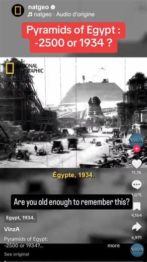 147K views · 1K reactions | Gino Conner on Reels | Facebook