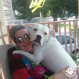 5M views · 15 reactions | Rocco’s former owner was sentenced to jail-time for animal cruelty. Thanks to new mom Kelly, Rocco is so, so, so happy in his new life that his doggy smile lights up a room. | The Reading Chronicle | Facebook