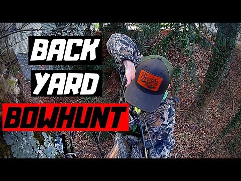 Urban Bowhunting! I killed 2 Deer out of Grandma's Back Yard!!!!