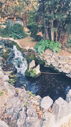 Relaxing Water Sounds + Stress Relief Music 🌊✨ #meditationmusic