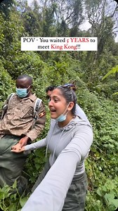 1M views · 36 reactions | @monkey.inc - Gorillas are the largest and...