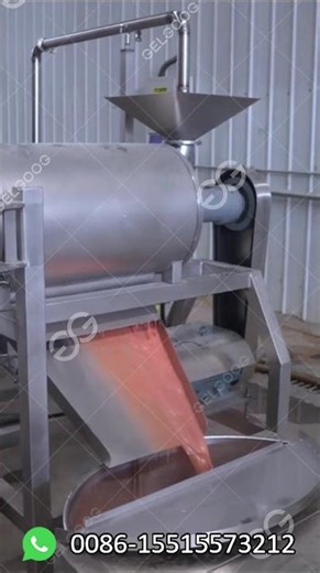 How is Tomato Paste Manufactured? Tomato Processing Plant