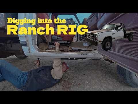 Removing the Bench Seat, Cleaning out the Interior, and moving some cows!