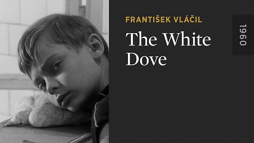 The White Dove - The Criterion Channel