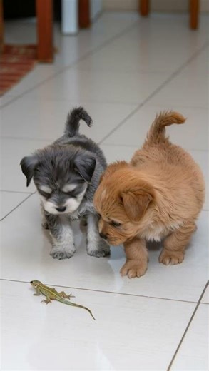 Wait… what IS that?! 😳