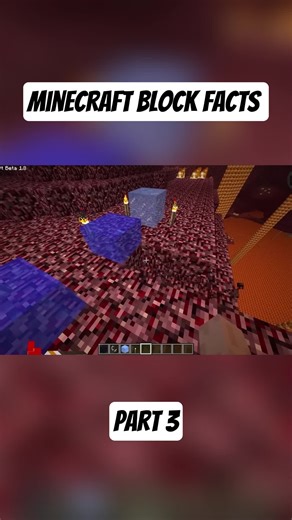[3] Minecraft Block Facts You Didn't Know (Cred: SkipTheTutorial) #fyp #foryou #foryoupage #Minecraft
