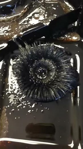 Nissan Maxima Transmission Shift Problems - Burnt Fluid, Metal Particles, No Maintenance