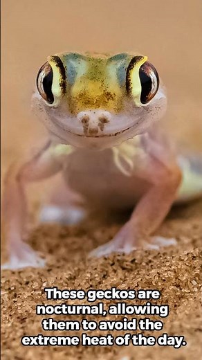 Namib Sand Gecko: The Desert’s Master of Disguise! 🦎🌵