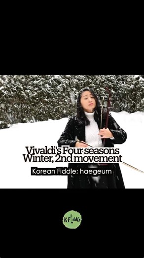 Vivaldi Four Seansons Winter 2nd Movement I Korean Fiddle I Haegeum 해금