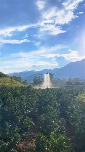 33K views · 440 reactions | Drone farming technology. The future of agriculture is taking shape. | Zortrax Agriculture Corporation | Facebook