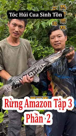 Amazon Tập 3 Phần 2, Tóc Húi Cua thu hoạch Cá Da Hổ | Cuộc Sống Sinh Tồn