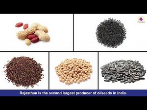 Food | Social Studies Grade 3 | Periwinkle