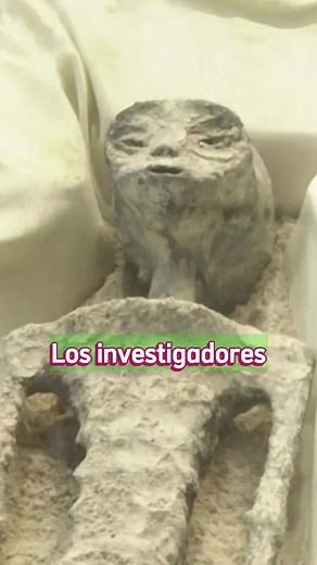 👽 👽Un nuevo descubrimiento de las momias de Nazca se da a conocer hoy 👽 👽 #nazca #PlatívolosMarinela