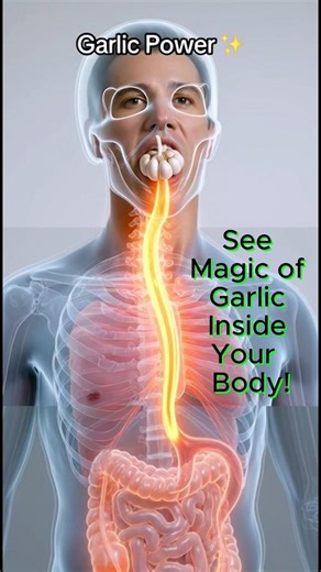 See What Garlic Does Inside Your Body [JQH 101]