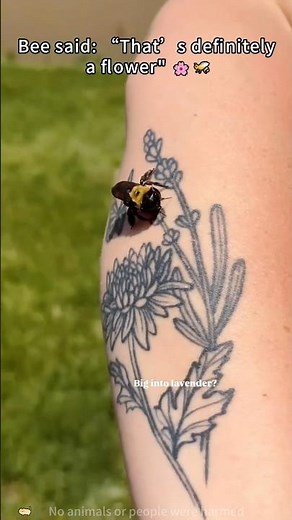 Just Checking If This Human Is A Flower 😂🐝#beepov #funnybee #naturehumor #pollinatorlife #cute