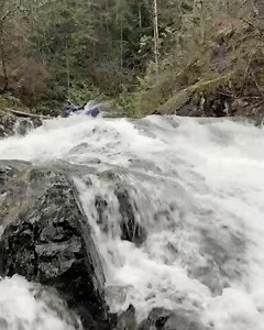 Immersion Research on Reels