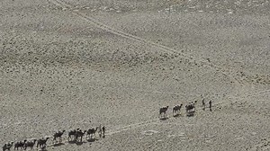 7.8K views · 43 reactions | Want to win Rafting for 4? Competition...