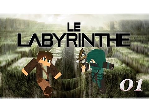 Minecraft Ps4-Map Aventure Labyrinthe #01