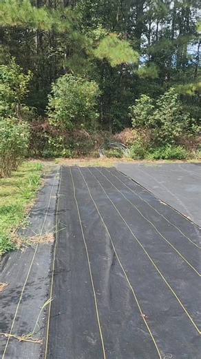 For Gardeners, By Gardeners Our mission is to provide exceptional varieties of high-quality seed at great prices, detailed sowing and growing information to help the home gardener be successful, and strive to provide the best customer service in the industry. | Botanical Interests