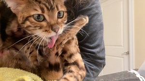 44K views · 1.8K reactions | What a delightful, happy accident I...