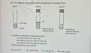 The diagrams show experiments involving the rusting of iron.tu... | Filo