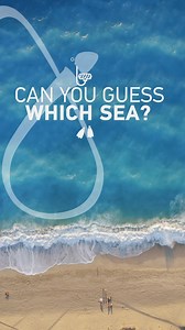 1.1K views · 49 reactions | Exciting news coming your way! Trillium is expanding to a stunning new destination somewhere along the shoreline! Get ready for the official announcement! | Trillium-The Montessori House | Facebook