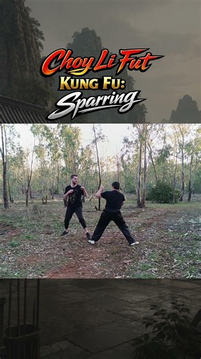 Choy Li Fut Kung Fu Sparring! 🔥 #kungfu #martialarts