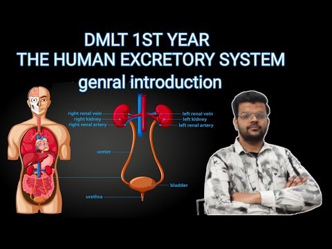 Human excretory system|| general introduction|| DMLT AND NEET|| PART 1