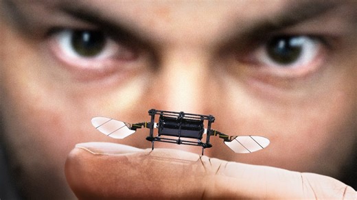Why MIT Scientists Are Building Robot Insects