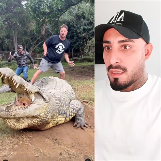 4.6M views · 81K reactions | Im going on a Boat Trip  | Bartmann | Facebook