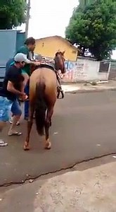 8.3K views · 31 reactions |  | MF Music | Facebook