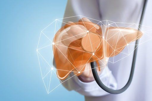 Một số điểm về giải phẫu và phân chia thùy gan