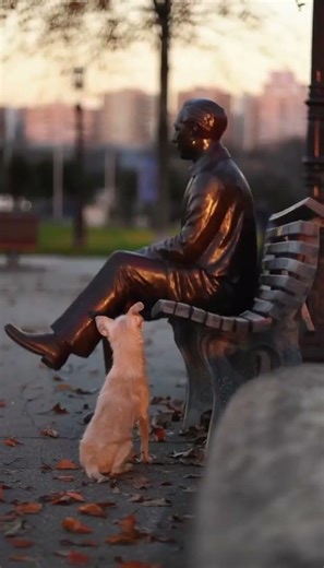 He Waits Every Night… 💔