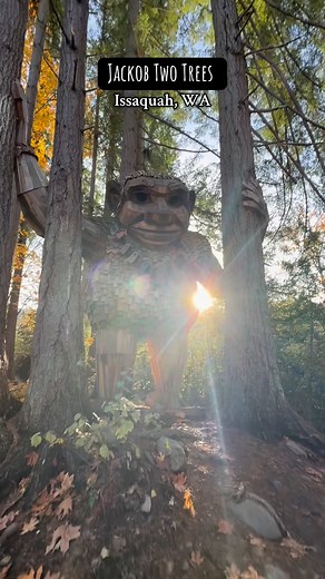 Issaquah’s troll might be the calmest one of the whole Thomas Dambo crew. Jakob Two Trees stands here towering over the forest like a giant guardian. 🌲✨ Made from recycled wood, hidden just enough in the trees to feel magical, and absolutely worth the stop on your Troll Adventure. And stay tuned… the next troll is in West Seattle and I’m heading there next. #TrollAdventure #VisitSeattle #ThomasDambo #ExplorePNW #PNWAdventures #SeattleLife #IssaquahWA #PNWCreators #HiddenGemsPNW #TravelWashingto