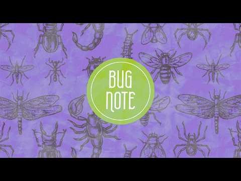 Bug Note Podcast S1E1: What is a Bug?