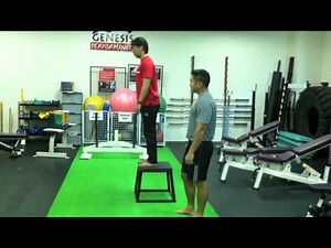 Standing Broad Jump (SBJ) technique