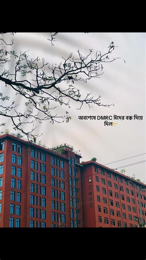 DMRC Opens for Eid: Here's What You Need to Know