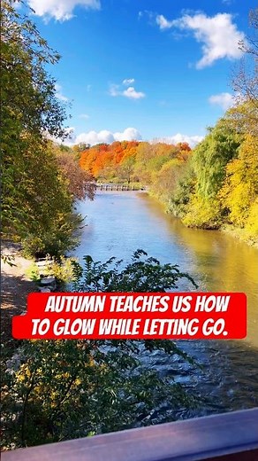 The Beauty of Letting Go | Autumn Reflections